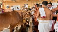 HH Swamiji's visit to Shri Venkatramana Temple Goshala at Karkala (14 Feb 2025)